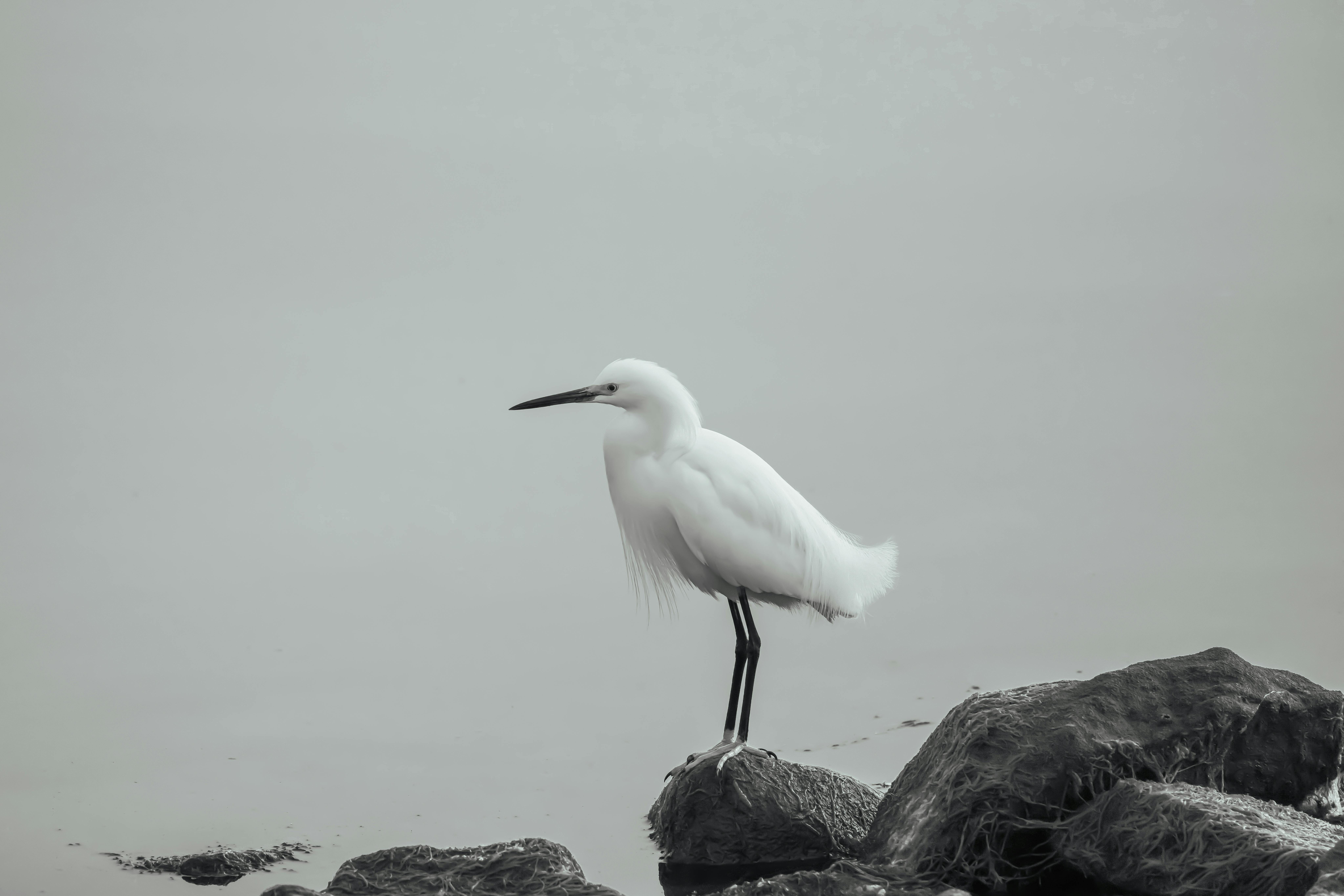 Seascape